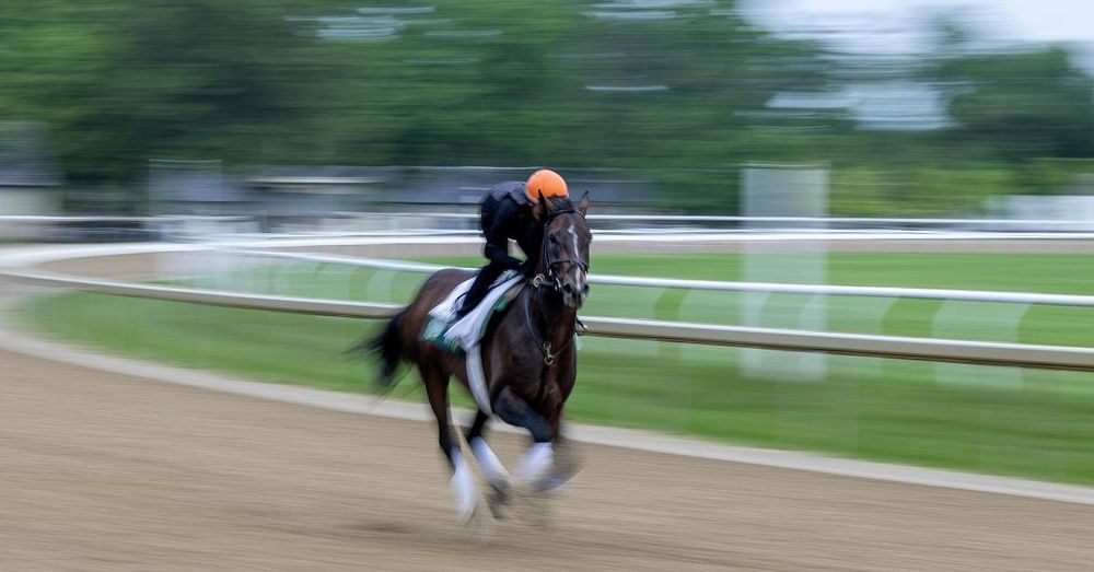 Sovereignty beats Journalism to win Belmont Stakes, two-thirds of Triple Crown