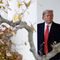 Impeachment Process Divides Global Opinion, but Shows Democracy in Action