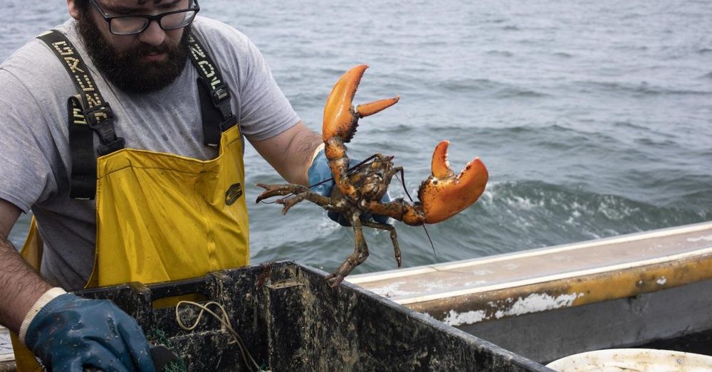 Nantucket nonprofit, businesses file lawsuit, alleging offshore wind is crushing their operations