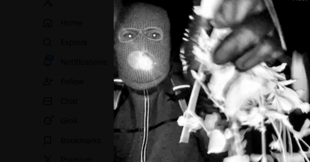 DNA from glove found near Nancy Guthrie's home appears to match suspect on doorbell video: report