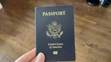 Transgender individuals sue Trump administration over eliminating 'X' gender on passports