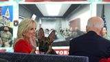 Biden’s dog biting spree under investigation