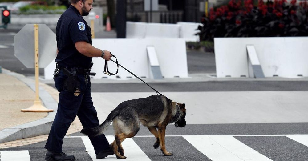 Los Angeles County K-9 teams reunite with their fire family after helping out in Texas