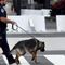 FBI investigating police K9 attack on black man during arrest