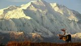 Republican senator proposes reverting the name of US' tallest mountain back to Denali