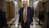 Senate GOP sees ‘dumb’ bid to boost incumbents with meaningless Schumer border vote