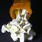 Medicare premiums expected to jump over $20 due to new Alzheimer's drug