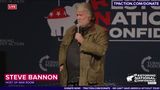 Bannon: $350 Million Wasted on a ‘Phony Primary’