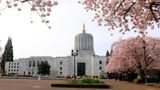 Oregon state GOP lawmaker charged in connection with protesters gaining entry to state Capitol