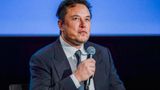 Elon Musk: 'My pronouns are Prosecute/Fauci'