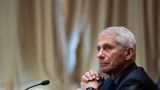 Fauci says Republican criticisms of him are 'attacks on science'