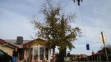 Walmart launches drone delivery in Texas, Florida and Arizona