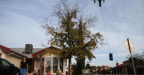 State attorneys general want help to stop drones from making prison drops