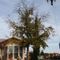 Walmart launches drone delivery in Texas, Florida and Arizona