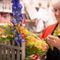 Christian florist pays gay couple denied wedding services $5,000, withdraws SCOTUS appeal