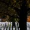Arlington, other national cemeteries to relax COVID-19 restrictions before Memorial Day