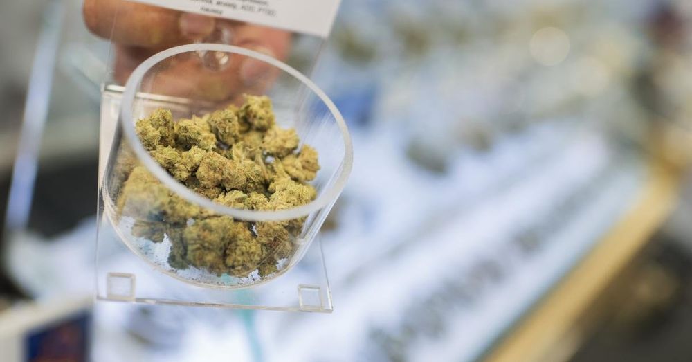 Oregon as early state to legalize pot was mecca for biz opportunity, then came regs, hard times