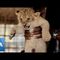 Animal Welfare Organization Arrives in Sudan to Assist Starving Lions