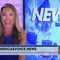Join Miranda Khan and Sophie Mann as they explore the latest news on Dr. Fauci.