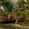 Scientists reportedly obtain full sequence of dodo genome; extinct bird may make a comeback