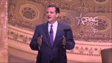 Sen. Ted Cruz: Washington is corrupt