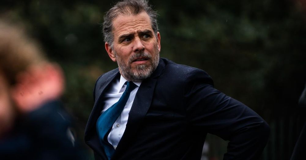 IRS whistleblowers declare 'complete vindication' after Hunter Biden indictment