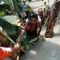Flooding Displaces Millions, Endangers Wildlife in India
