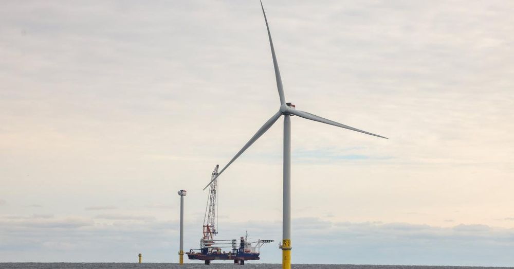 Lawsuit filed to halt offshore wind farm in Virginia, citing concerns for whales