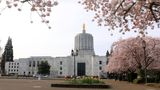 Oregon House passes slew of gun control measures