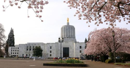 Oregon senators bring DEI, 'social justice' to brush clearing