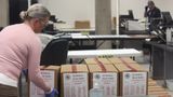 Republicans move to provide states with election integrity 'tool kits'