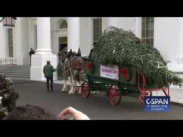 White House Christmas Tree Delivery (C-SPAN)