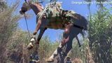 Horse smuggling raises new concerns over U.S. screwworm threat