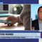 Devin Nunes PREDICTED Exactly What Elon Musk Just Discovered About Twitter