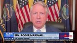 TRUMP FDA TEAM FOCUSED ON FOOD SAFETY