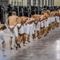 El Salvador sends thousands more alleged gang members to prison in major crackdown