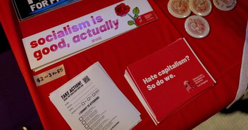 Establishment Democrats warn socialist candidates could cost the party the midterms
