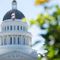 California's public unions witness record opt-outs in early October
