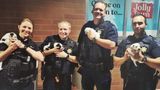 Tulsa police officers rescue, adopt 'Christmas puppies'