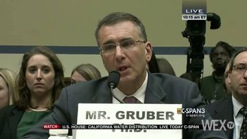 Issa to Gruber: Are you stupid?