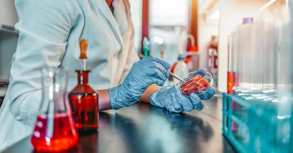 Texas becomes 7th state to ban lab-grown meat, Trump administration advances it