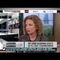 Debbie Wasserman Schultz on elections