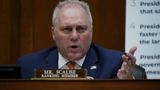 Rep. Steve Scalise: 'Maybe you need a children's union to compete with the teacher's union'