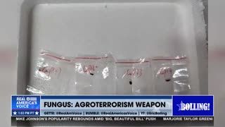CHINESE NATIONAL COUPLE CAUGHT TRYING TO SMUGGLE IN AGROWEAPON