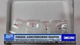 CHINESE NATIONAL COUPLE CAUGHT TRYING TO SMUGGLE IN AGROWEAPON