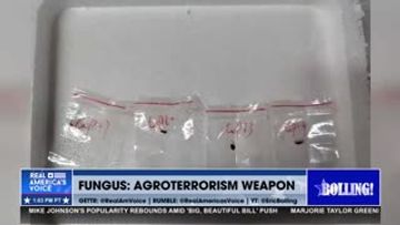 CHINESE NATIONAL COUPLE CAUGHT TRYING TO SMUGGLE IN AGROWEAPON