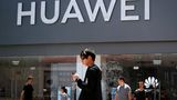 Congress Fumes as Trump Allows Select US Firms to Supply Huawei