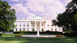 White House UFC cage fight to take place in June 2026 on White House south lawn