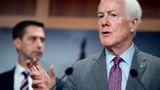 Sen. Cornyn says he will support Tulsi Gabbard confirmation as DNI despite previous concerns