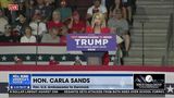 Carla Sands - Dems can't control election process